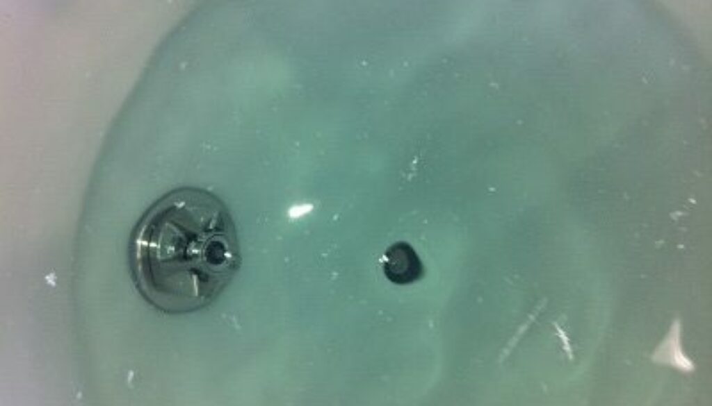 aseptic sanitary blender